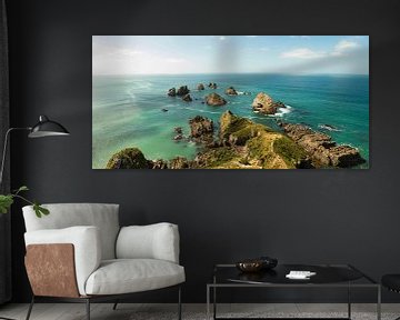 Nugget Point New Zealand van Anne Vermeer