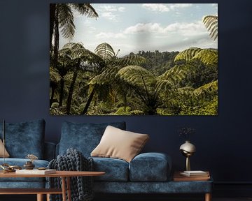 forêt de palmiers sur Anne Vermeer