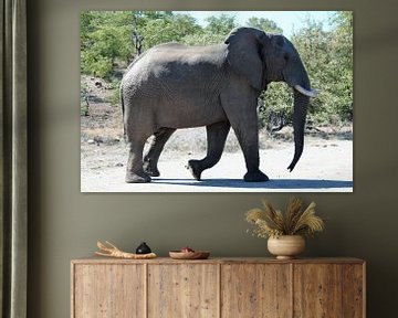 Eléphant dans le Parc National Kruger sur Caitlin verbrugge