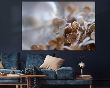 Hortensia d'hiver sur Anthea van den Berg