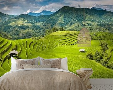 Panorama of rice fields by Jeroen Mikkers