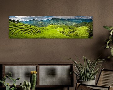 Panorama van rijstvelden van Jeroen Mikkers