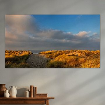 Winter Afternoon Light on the dunes by the sea
