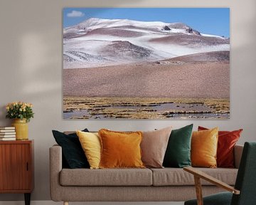 San Pedro de Atacama van Eriks Photoshop by Erik Heuver