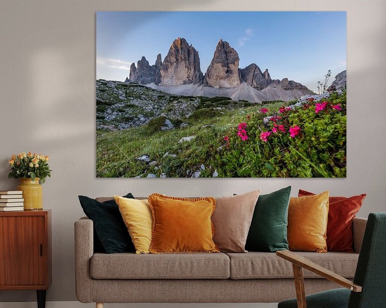 Aperçu de la chambre