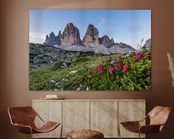 Aperçu de la chambre