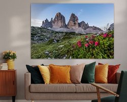 Aperçu de la chambre