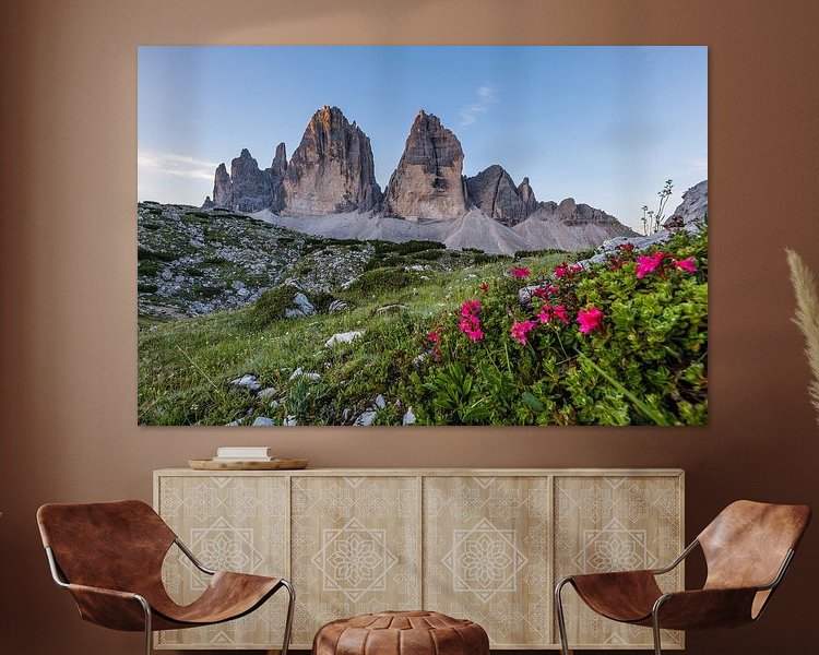 Aperçu de la chambre