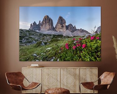 Aperçu de la chambre