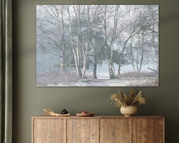 koude bomen in de mist van Tania Perneel