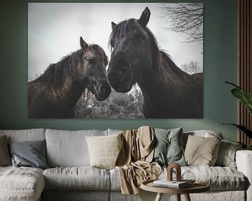 2 Horses by Johan van Esch