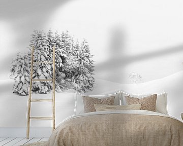 Winter landscape in the mountains by Lynxs Photography