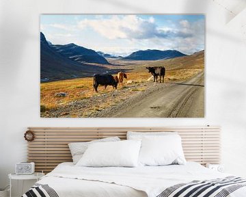 Koeien in Noors berglandschap