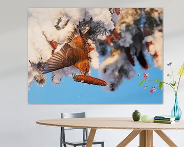 Red Crossbill with spruce cone by Beschermingswerk voor aan uw muur