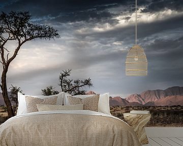 Panorama in Namibia von t.a.m. postma