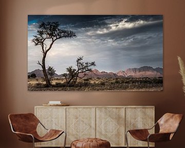 panorama in Namibia by t.a.m. postma