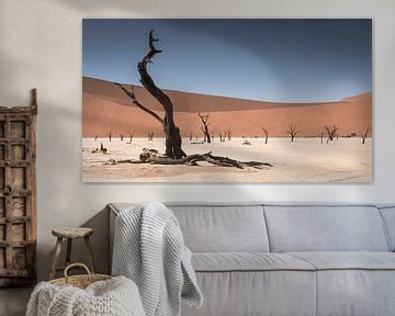 deadvlei Namibie sur t.a.m. postma