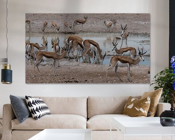 Aperçu de la chambre