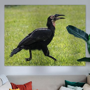 Corne Sud sur Loek Lobel