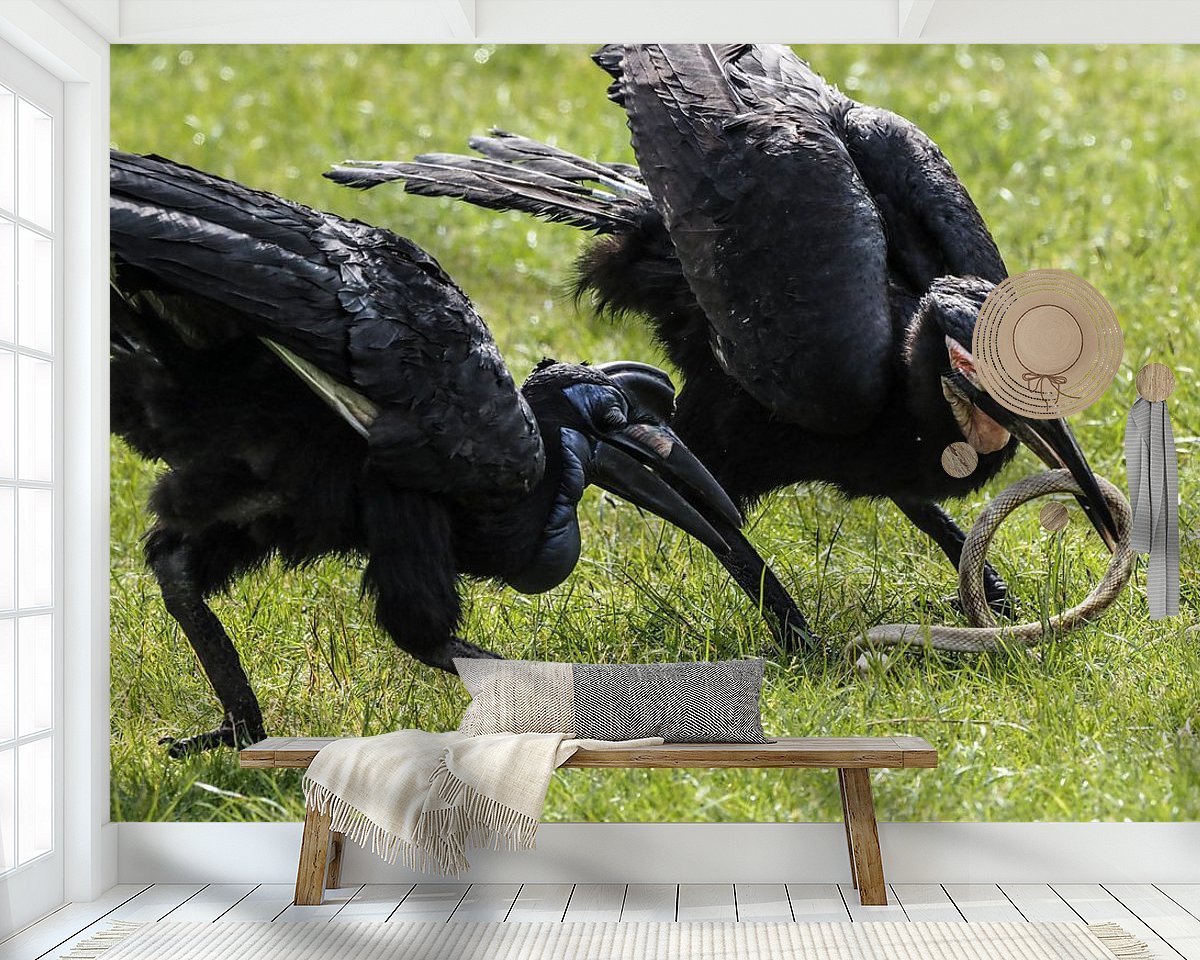 Raumvorschau