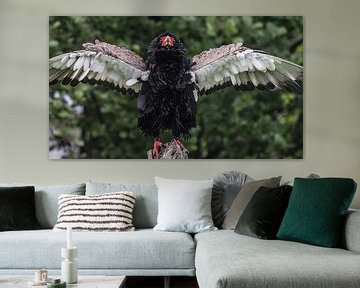 Bateleur van Loek Lobel