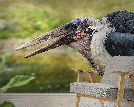 Aperçu de la chambre