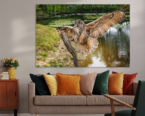 Aperçu de la chambre