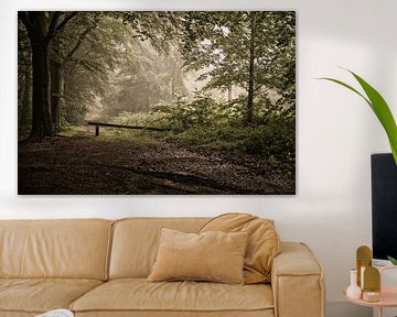 Atmospheric forest path by Kitty Stevens