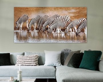 Zebras im Etosha-Nationalpark, Namibia