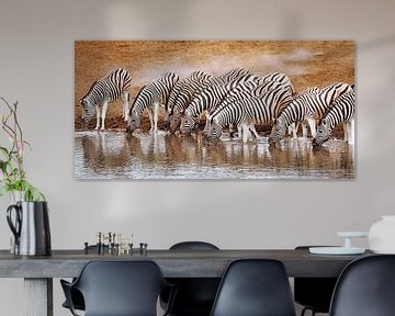 Zebra's in Etosha National Park, Namibië van W. Woyke