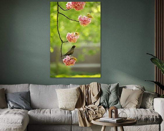 Aperçu de la chambre