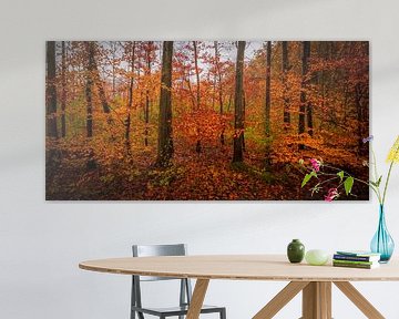 Beech in Autumn