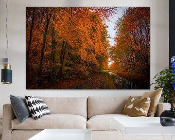Autumn explosion