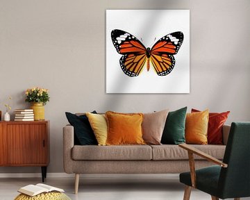 Schmetterling - orange von Jole Art (Annejole Jacobs - de Jongh)