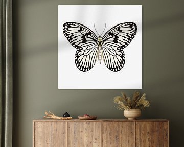Schmetterling schwarz-weiß von Jole Art (Annejole Jacobs - de Jongh)