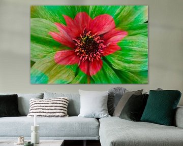 Kleurrijke, bloeiende dahlia, abstract, bloemig van Torsten Krüger
