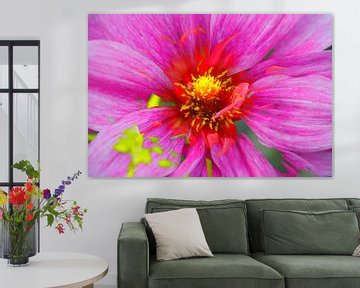 roze , bloeiende dahlia , abstract , bloem van Torsten Krüger