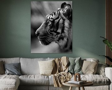 Tigerprofil in schwarz-weiß von Patrick van Bakkum
