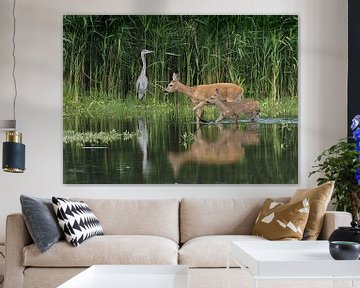 Ree met jong en Reiger van Loek Lobel