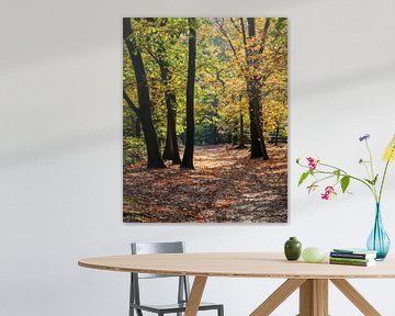 Kaapse Bossen in de herfst van Johan Zwarthoed