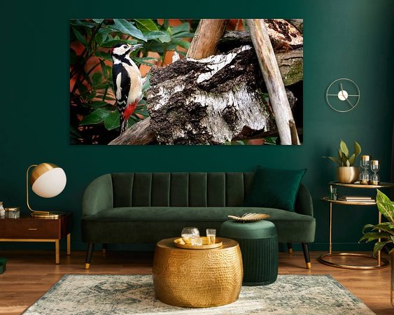 Aperçu de la chambre