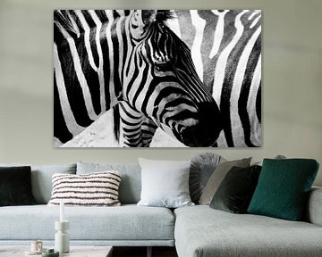 Zebra strepen von Nico van der Vorm