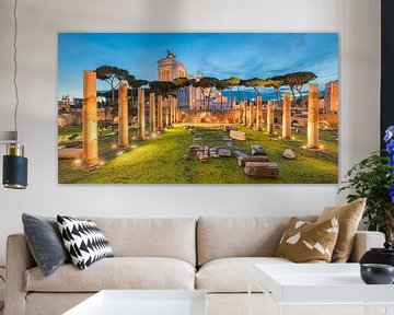 The Forum - Rome, Italy