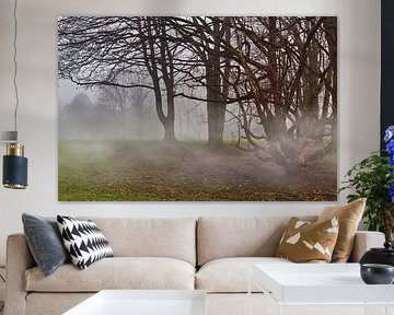 Morning fog 8
