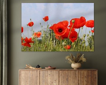 Poppies in the field on a summer's day by Henk Hulshof