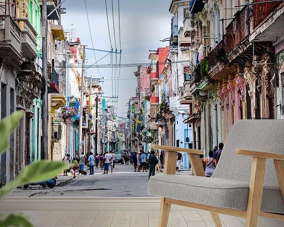 Aperçu de la chambre