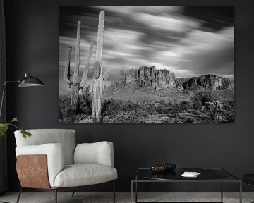 Saguaro Cactus with the Superstition mountains in Lost Dutchman State Park, Arizona