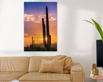 Saguaro-Kaktus bei Sonnenuntergang im Lost Dutchman State Park, Arizona von Henk Meijer Photography