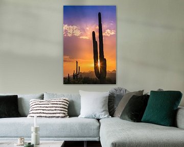 Saguaro-Kaktus bei Sonnenuntergang im Lost Dutchman State Park, Arizona von Henk Meijer Photography