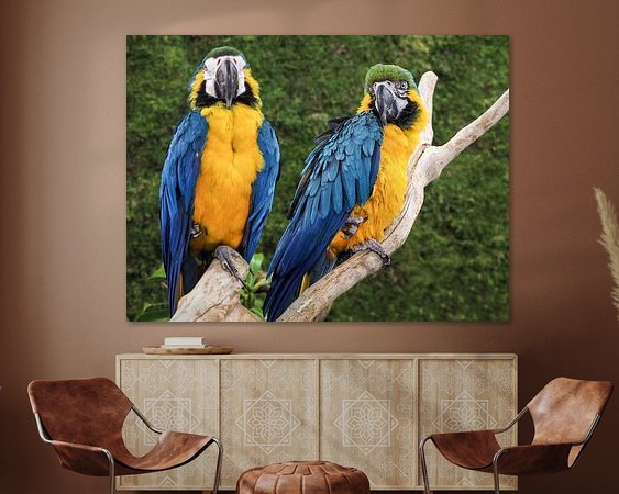 Aperçu de la chambre